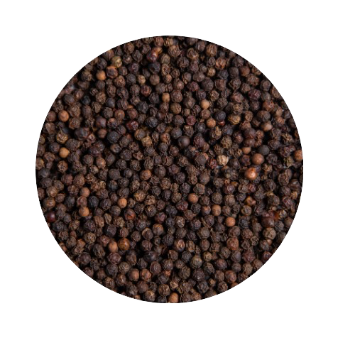 4-removebg-preview.png__PID:f46345c6-6846-4708-bed4-e0b5fcc78cb1