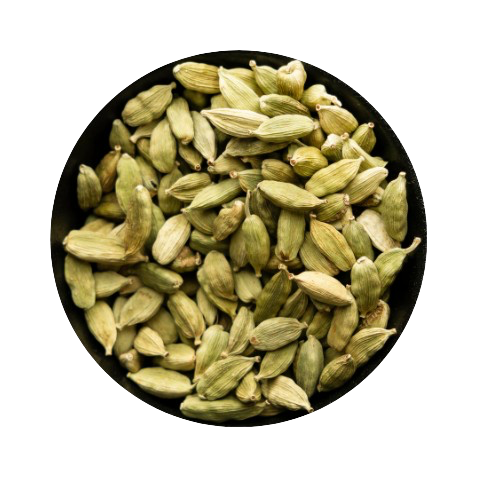 5-removebg-preview.png__PID:6345c668-46f7-48fe-94e0-b5fcc78cb14c